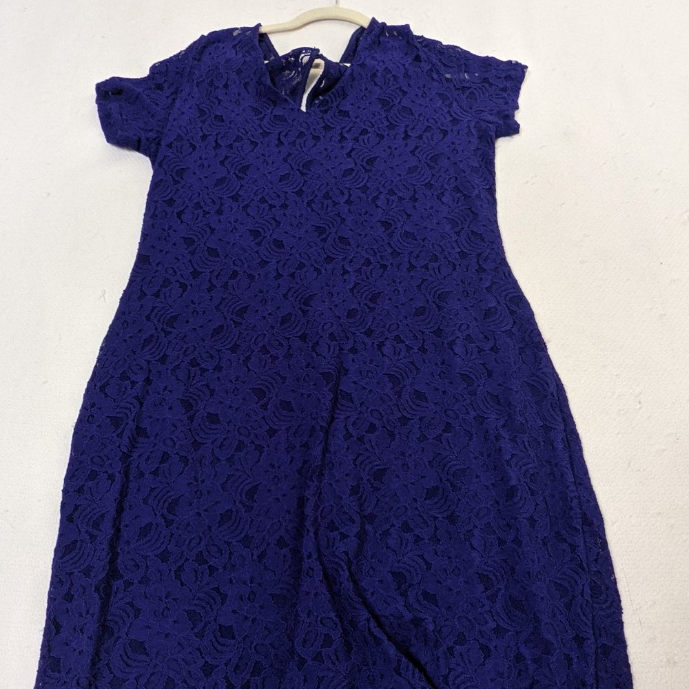 NWOT Stitchfix 41 Hawthorn  Cypress Lace Dress XL